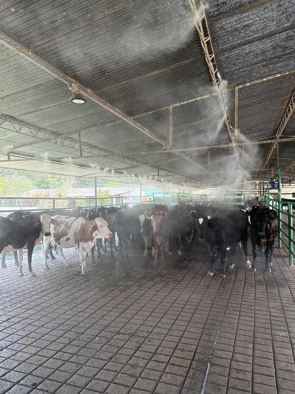 Invernaderos San Miguel