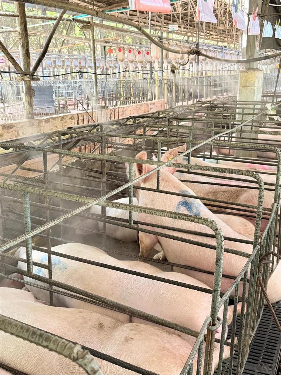 Restaurante Terraza Azul