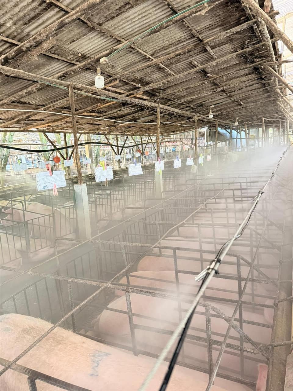 Proyecto SmartbeePro